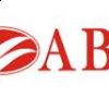 Arm Business bank
